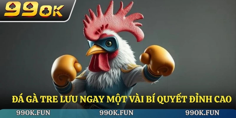 Đá gà tre lưu ngay một vài bí quyết đỉnh cao