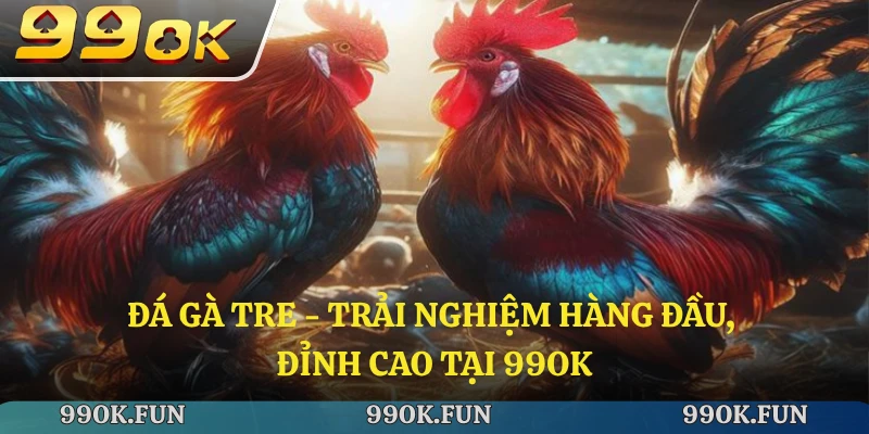 Đá gà tre - Trải nghiệm hàng đầu, đỉnh cao tại 99ok